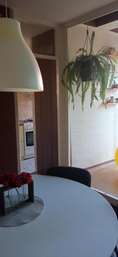 Branysol Apartman Nowy Sad Zewnętrze zdjęcie