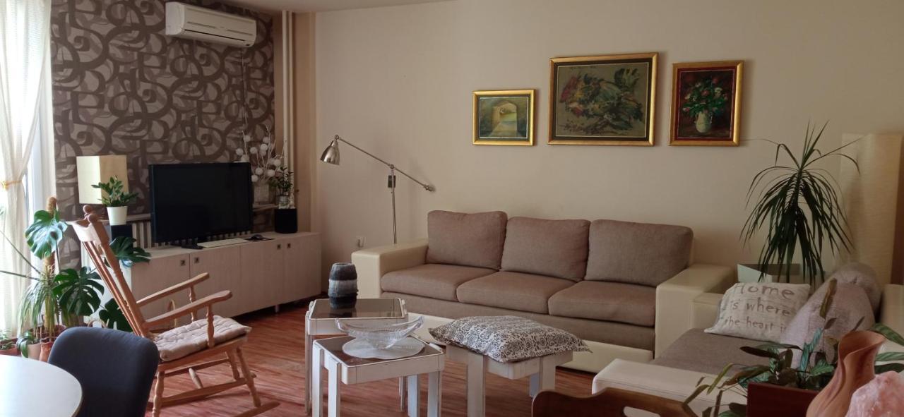 Branysol Apartman Nowy Sad Zewnętrze zdjęcie