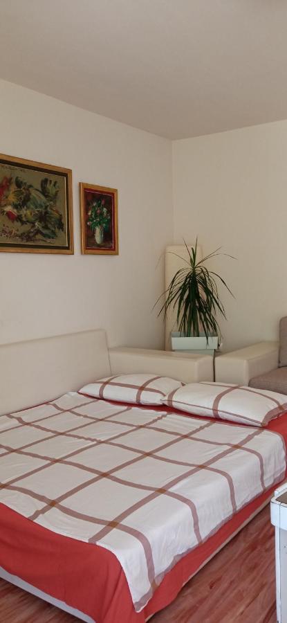 Branysol Apartman Nowy Sad Zewnętrze zdjęcie