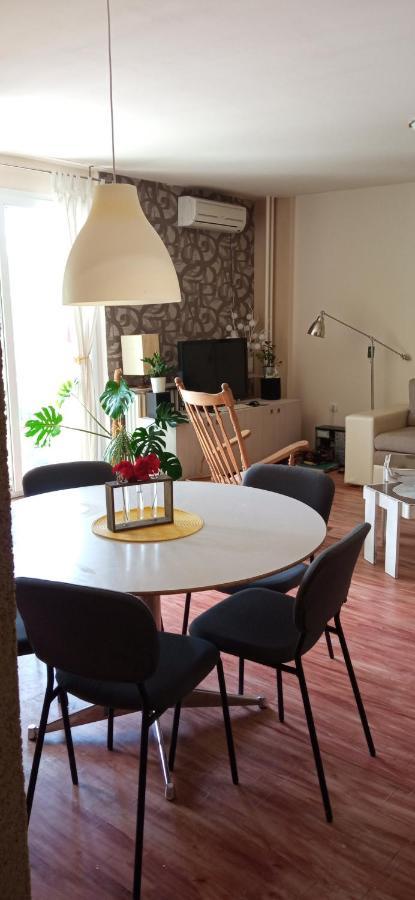 Branysol Apartman Nowy Sad Zewnętrze zdjęcie